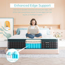 Povirt Twin Size Mattress 10 Inch, Innerspring Memory Foam Hybrid Mattress for Pressure Relief, Medium Firm Single Bed Mattress, 10 Inch Twin Mattresses in a Box, CertiPUR-US Certified, 39"*75"*10"